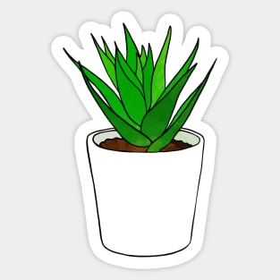 Succulent Plant Sticker